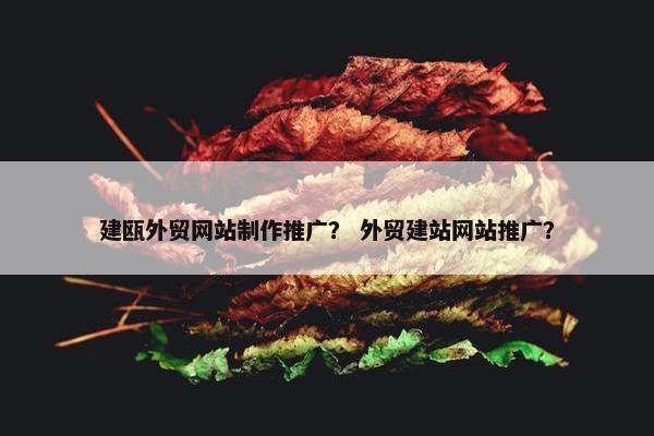 建瓯外贸网站制作推广？ 外贸建站网站推广？