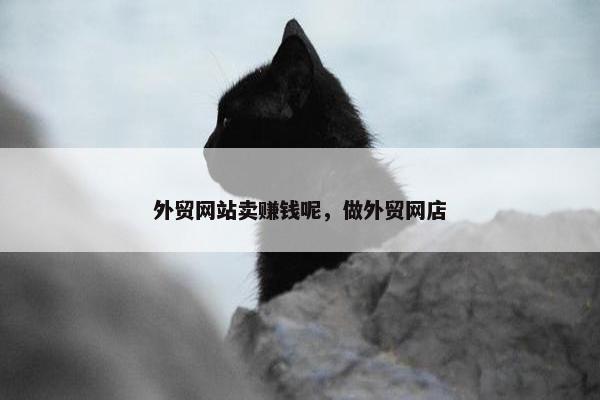 外贸网站卖赚钱呢，做外贸网店