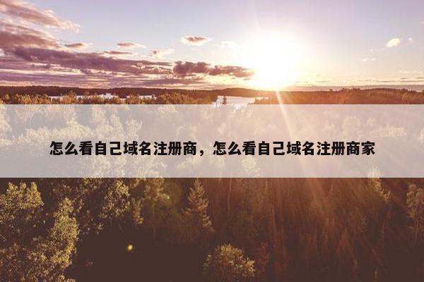 怎么看自己域名注册商，怎么看自己域名注册商家