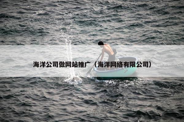 海洋公司做网站推广（海洋网络有限公司）