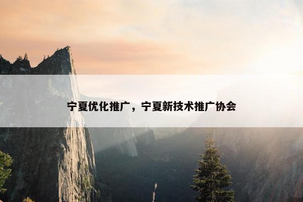 宁夏优化推广，宁夏新技术推广协会