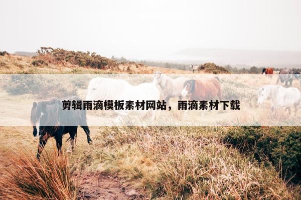 剪辑雨滴模板素材网站，雨滴素材下载