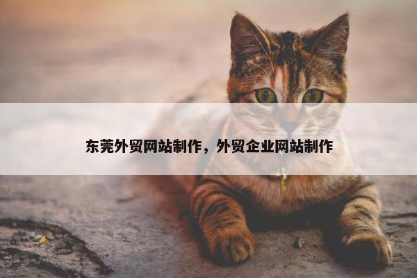 东莞外贸网站制作，外贸企业网站制作