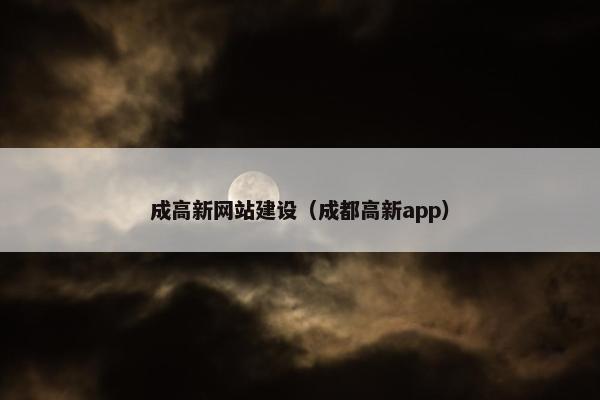 成高新网站建设（成都高新app）