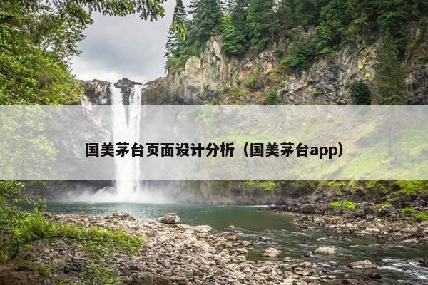 国美茅台页面设计分析（国美茅台app）