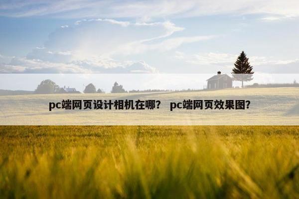 pc端网页设计相机在哪？ pc端网页效果图？