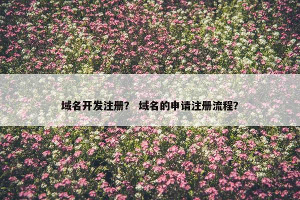域名开发注册？ 域名的申请注册流程？