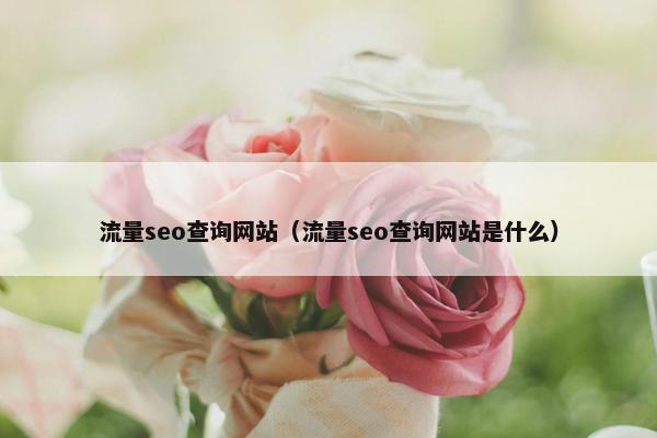 流量seo查询网站（流量seo查询网站是什么）