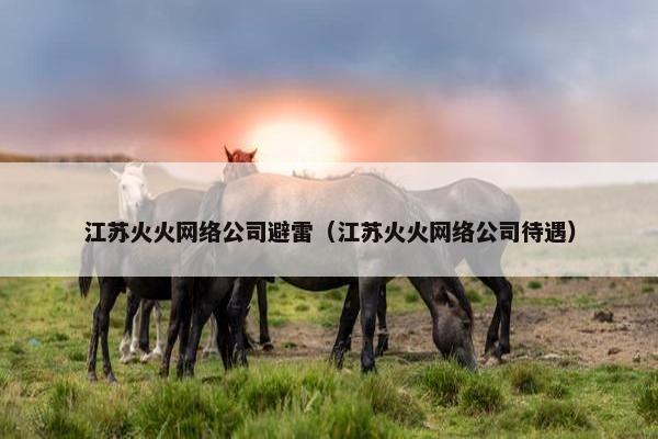 江苏火火网络公司避雷（江苏火火网络公司待遇）