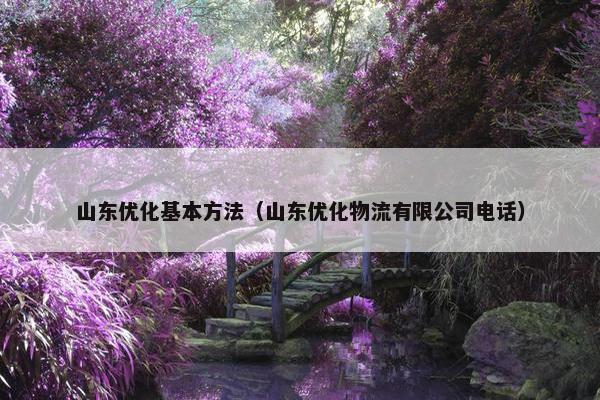 山东优化基本方法（山东优化物流有限公司电话）