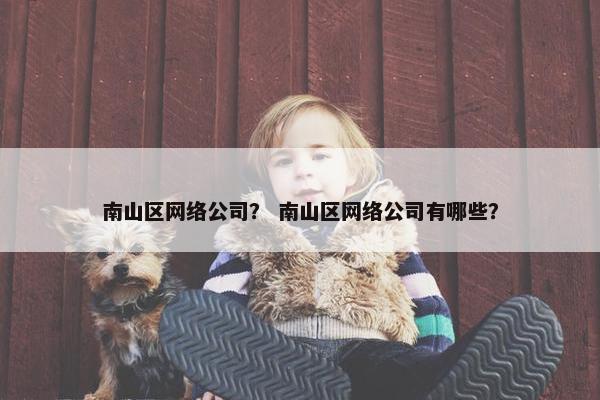 南山区网络公司？ 南山区网络公司有哪些？