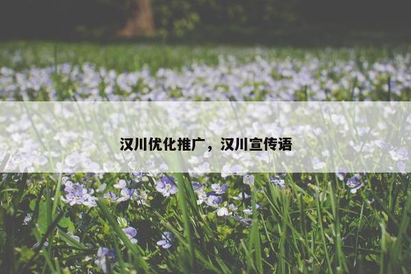 汉川优化推广，汉川宣传语