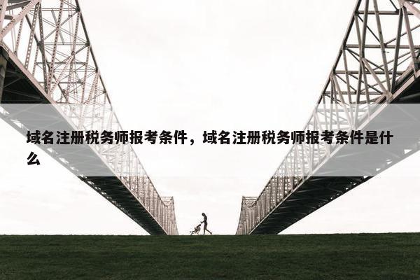 域名注册税务师报考条件，域名注册税务师报考条件是什么