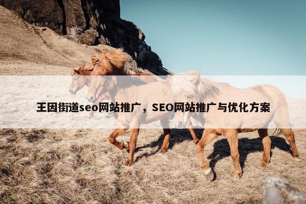 王因街道seo网站推广，SEO网站推广与优化方案