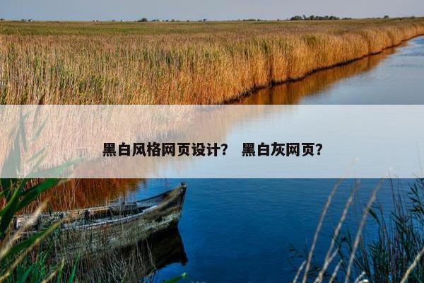 黑白风格网页设计？ 黑白灰网页？