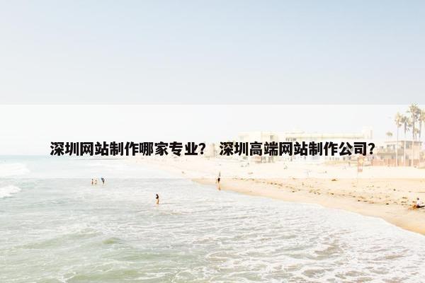 深圳网站制作哪家专业？ 深圳高端网站制作公司？