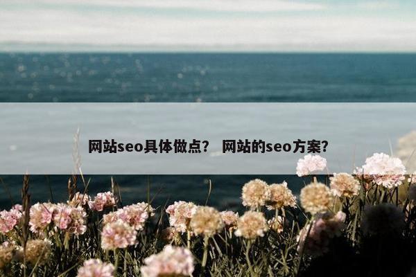 网站seo具体做点？ 网站的seo方案？