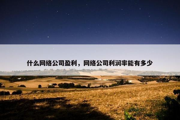 什么网络公司盈利，网络公司利润率能有多少