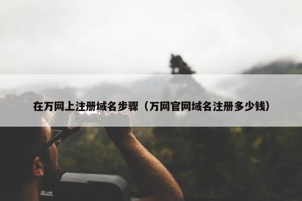 在万网上注册域名步骤（万网官网域名注册多少钱）