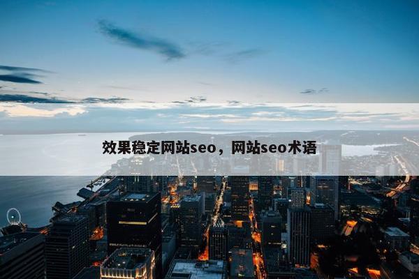 效果稳定网站seo，网站seo术语