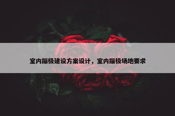 室内蹦极建设方案设计，室内蹦极场地要求