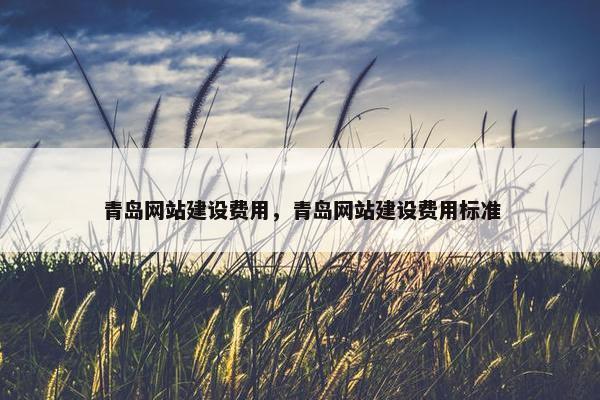 青岛网站建设费用，青岛网站建设费用标准