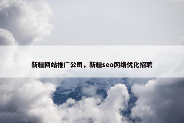 新疆网站推广公司，新疆seo网络优化招聘