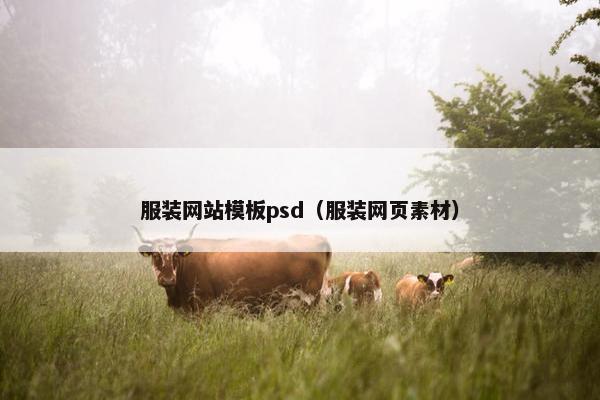 服装网站模板psd（服装网页素材）