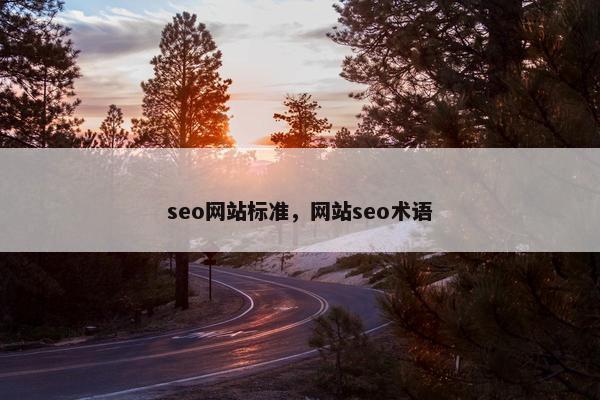 seo网站标准，网站seo术语