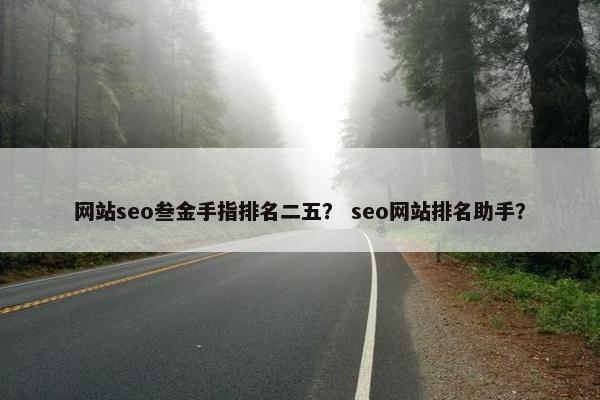 网站seo叁金手指排名二五？ seo网站排名助手？