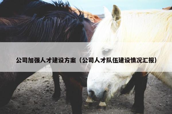 公司加强人才建设方案（公司人才队伍建设情况汇报）