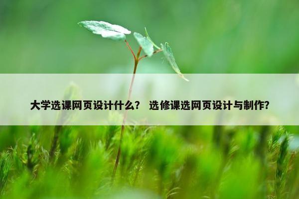 大学选课网页设计什么？ 选修课选网页设计与制作？