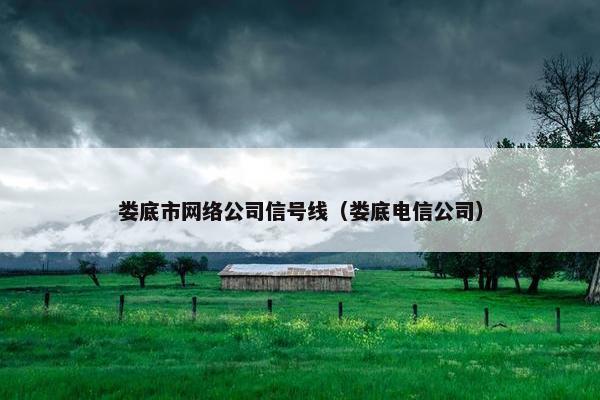 娄底市网络公司信号线（娄底电信公司）