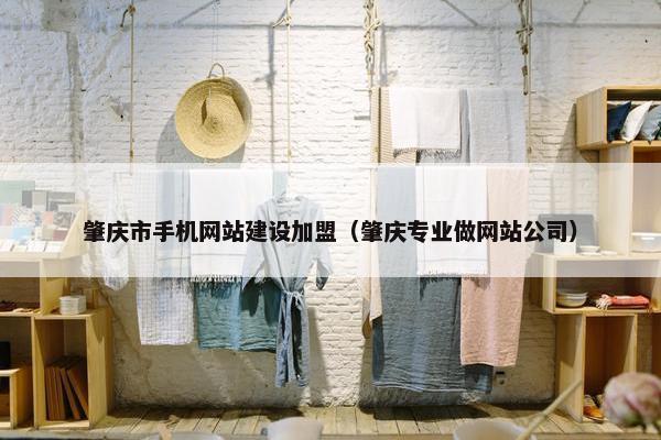 肇庆市手机网站建设加盟（肇庆专业做网站公司）