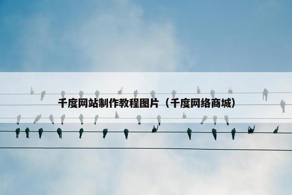 千度网站制作教程图片（千度网络商城）