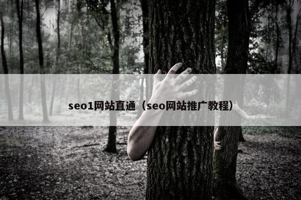 seo1网站直通（seo网站推广教程）