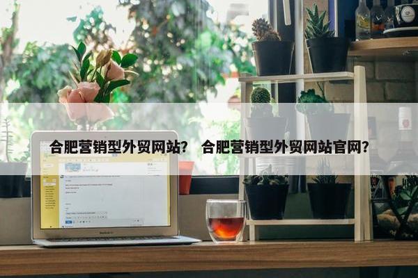 合肥营销型外贸网站？ 合肥营销型外贸网站官网？