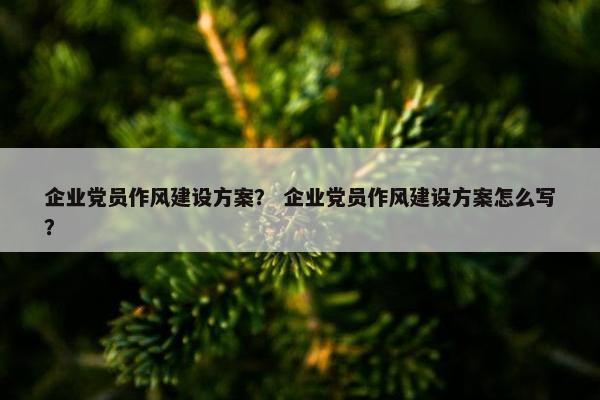 企业党员作风建设方案？ 企业党员作风建设方案怎么写？